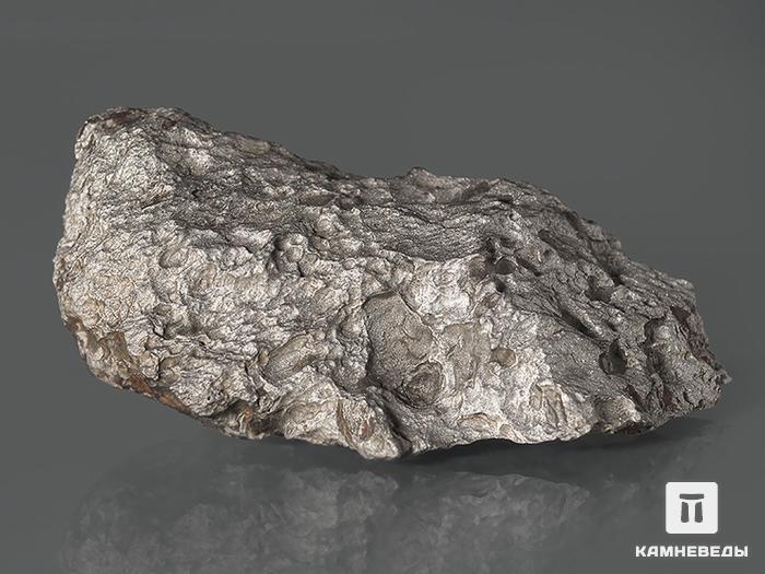 Метеорит Чинге, 5,5х3х1,8 см, 10-271/8, фото 3