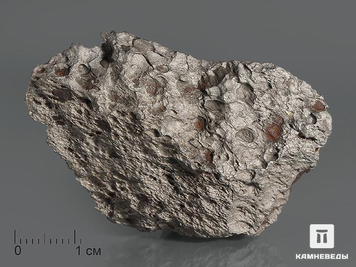 Метеорит Чинге, 5х3,2х1,5 см, 10-271/9, фото 1