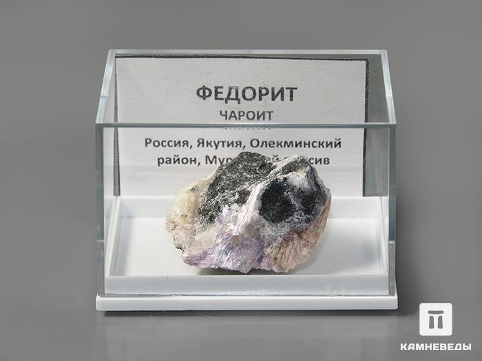 Федорит с чароитом в пластиковом боксе, 3,2х2,9х1,8 см, 10-354/3, фото 3