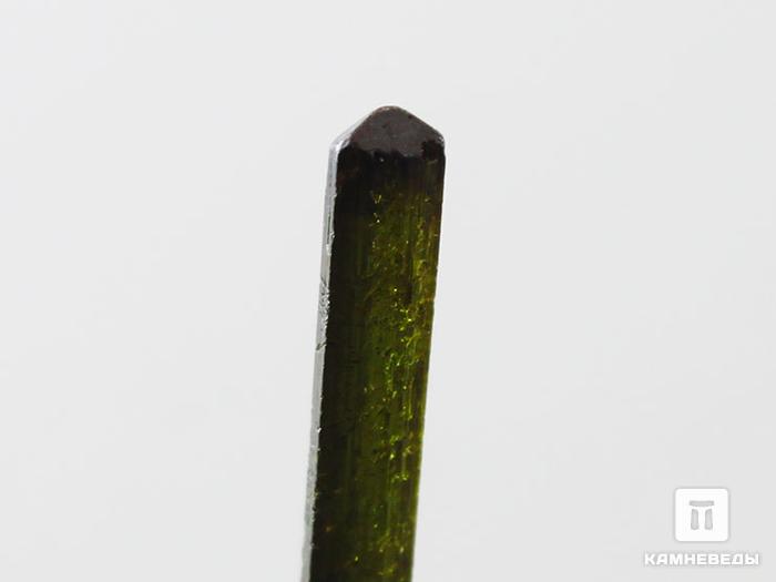 Турмалин (верделит), кристалл 2,3х0,3 см, 10-24/34, фото 3