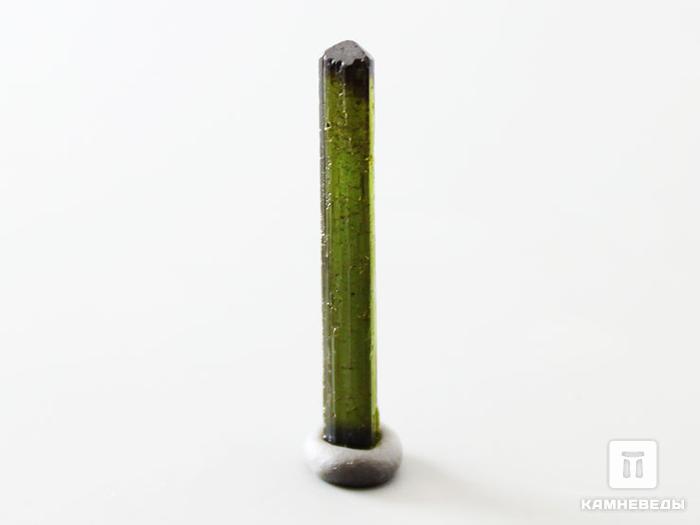 Турмалин (верделит), кристалл 2,3х0,3 см, 10-24/34, фото 2