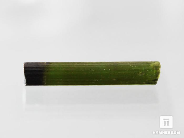 Турмалин (верделит), кристалл 2-2,5 см, 10-24/37, фото 1