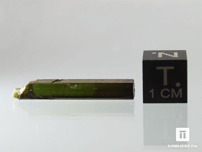 Турмалин (верделит), кристалл 2-4 см, 10-24/38, фото 3