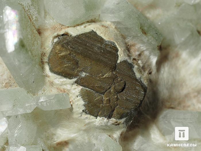 Альбит с халькопиритом и тремолитом, 4,7х4,7х1,7 см, 10-372/4, фото 3