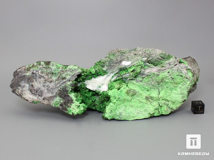 Уваровит (зелёный гранат), 19,5х7х5,3 см, 10-111/33, фото 4