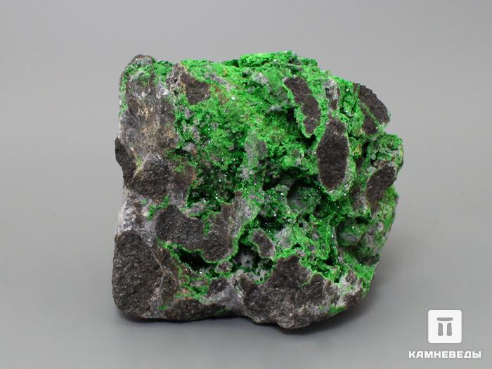 Уваровит (зелёный гранат), 8,3х6,5х6 см, 10-111/36, фото 2