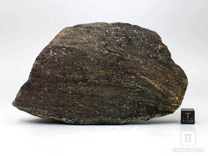 Пирит в метасоматите, полированный срез 12,7х7,5х3 см, 11-47/1, фото 3