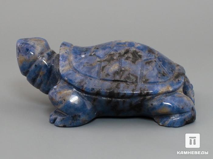 Черепаха из содалита, 7,5х5х3 см, 23-268/1, фото 2