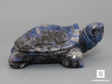Содалит. Черепаха из содалита, 7,5х5х3 см