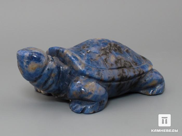 Черепаха из содалита, 7,5х5х3 см, 23-268/1, фото 3