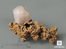 Кальцит с сидеритом, 11х7,8х6 см
