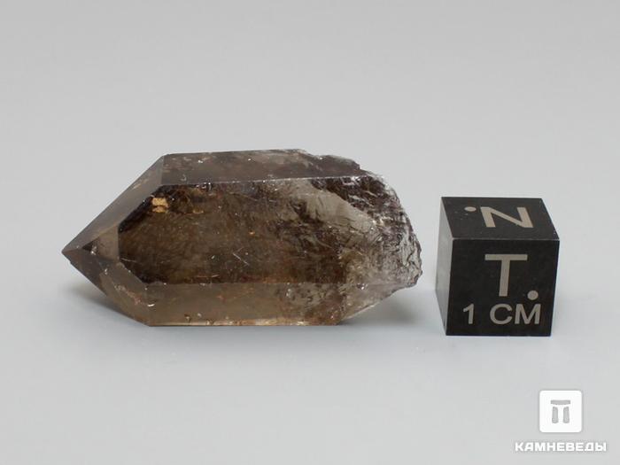 Дымчатый кварц (раухтопаз), кристалл 3,5-4,5 см, II категория, 10-100/9, фото 2