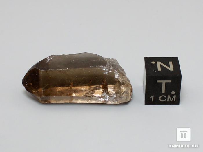 Дымчатый кварц (раухтопаз), кристалл 3-4 см, 10-100/2, фото 2
