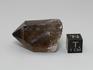 Дымчатый кварц (раухтопаз), кристалл 4-5 см, II категория, 10-170/1, фото 2