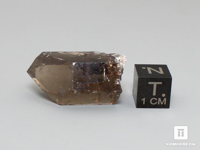 Дымчатый кварц (раухтопаз), кристалл 3-3,5 см, II категория, 10-68/6, фото 2
