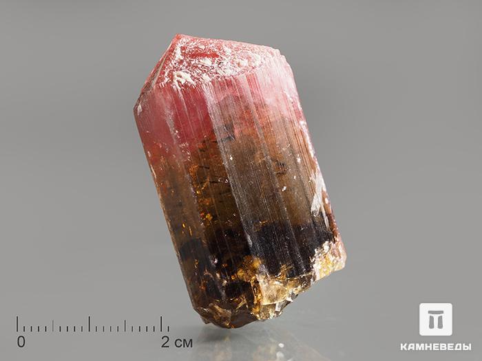 Турмалин полихромный, кристалл 3,8х2,2х1,8 см, 10-76/51, фото 1
