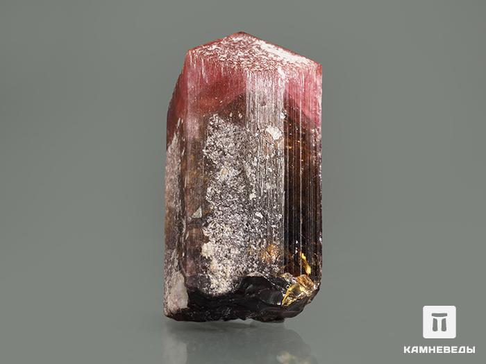 Турмалин полихромный, кристалл 3,8х2,2х1,8 см, 10-76/51, фото 2