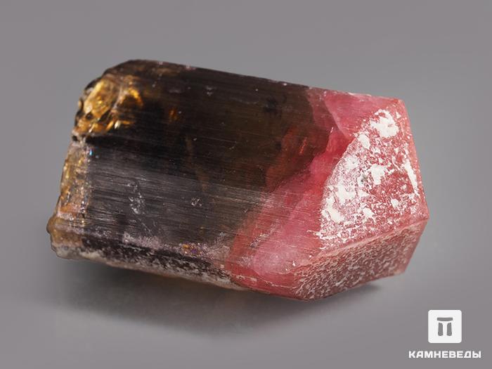 Турмалин полихромный, кристалл 3,8х2,2х1,8 см, 10-76/51, фото 3