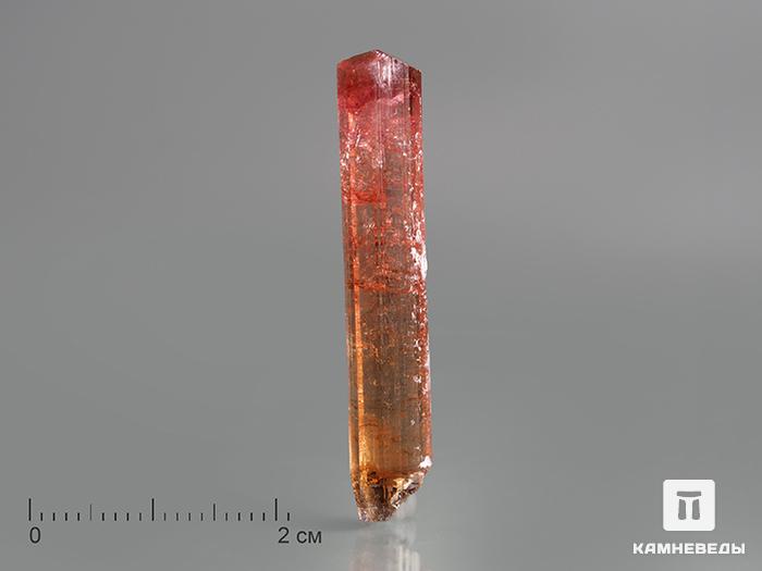 Турмалин (рубеллит), кристалл 4х0,8х0,6 см, 10-76/52, фото 1