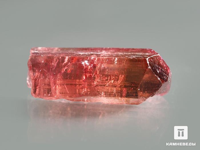 Турмалин (рубеллит), кристалл 1,8х1х0,5 см, 10-76/56, фото 3