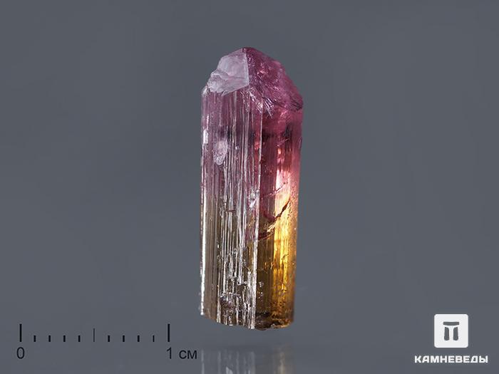 Турмалин полихромный, кристалл 1,9х0,7х0,6 см, 10-76/55, фото 1
