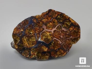 Метеориты. Метеорит Imilac, полировка 5,6х4,1х3 см