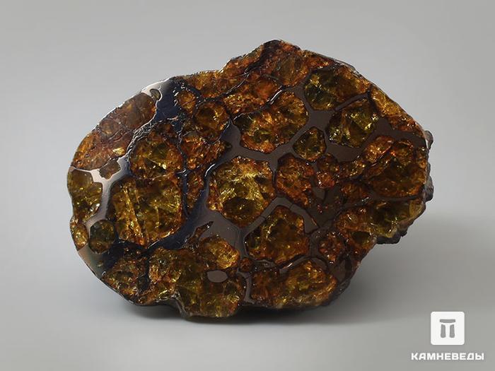 Метеорит Imilac, полировка 5,6х4,1х3 см, 11-127/2, фото 4