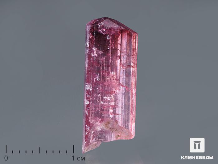 Турмалин (рубеллит), кристалл 2х0,8х0,4 см, 10-76/57, фото 1