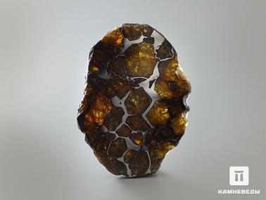 Метеориты. Метеорит Imilac, пластина 6,4х4,5х0,4 см