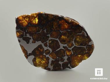 Метеориты. Метеорит Imilac, пластина 5,9х4,4х0,4 см