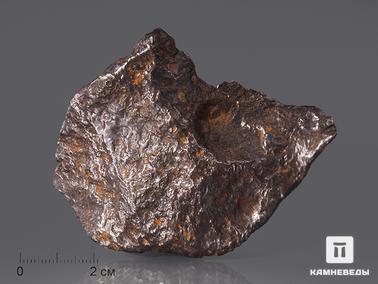Метеориты. Метеорит Чинге, 7,4х6х1,8 см