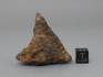 Метеорит Харабали, 4,5х3,5 см (34,72 г), 10-16/9, фото 3