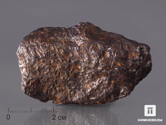 Метеорит Чинге, 6,2х3,6х1,4 см, 10-271/1, фото 1