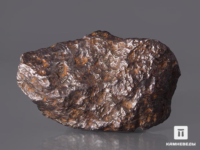Метеорит Чинге, 6,2х3,6х1,4 см, 10-271/1, фото 2