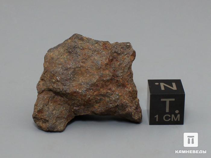 Метеорит Харабали, 3-4 см (13,42-14,80 г), 10-16/4, фото 3