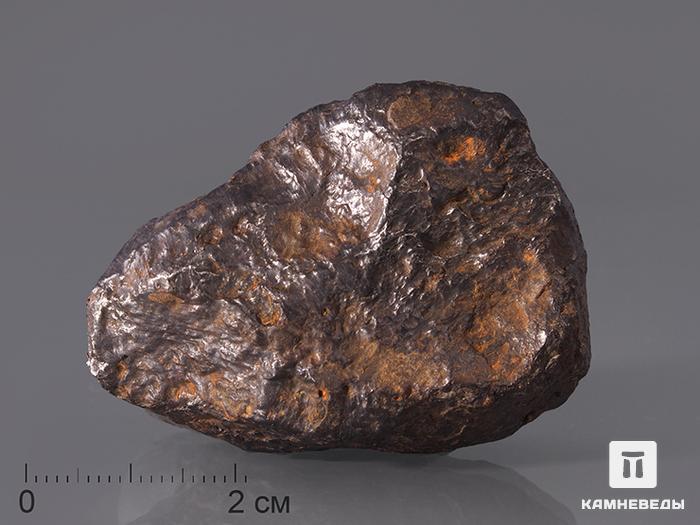 Метеорит Чинге, 4,8х3,7х1,7 см, 10-248/7, фото 1