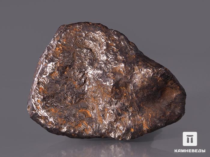 Метеорит Чинге, 4,8х3,7х1,7 см, 10-248/7, фото 2