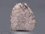 Метеорит Muonionalusta, 400 г, 10-185, фото 1
