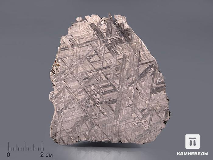 Метеорит Muonionalusta, 400 г, 10-185, фото 1
