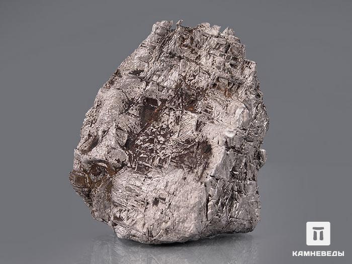 Метеорит Muonionalusta, 400 г, 10-185, фото 3