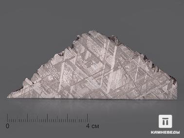 Метеориты. Метеорит Muonionalusta, пластина 8,8х3,5х0,2 см