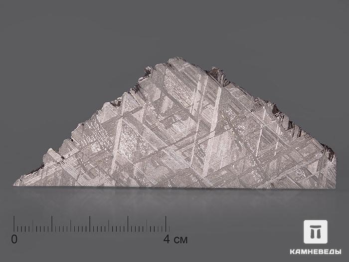 Метеорит Muonionalusta, пластина 8,8х3,5х0,2 см, 10-185/16, фото 1