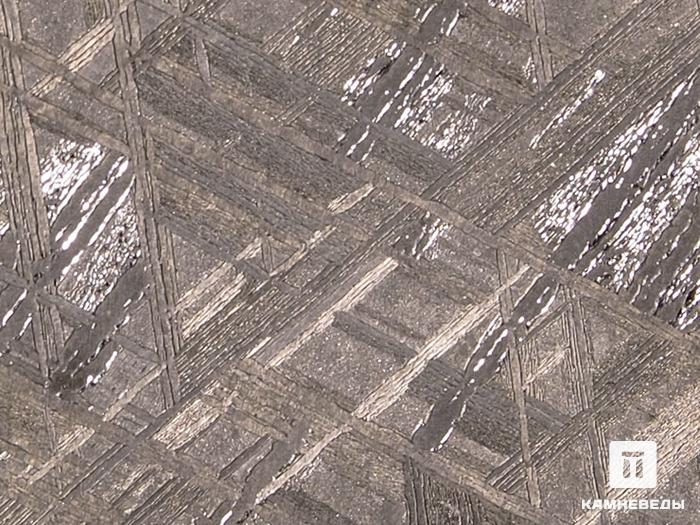 Метеорит Muonionalusta, пластина 8,8х3,5х0,2 см, 10-185/16, фото 3