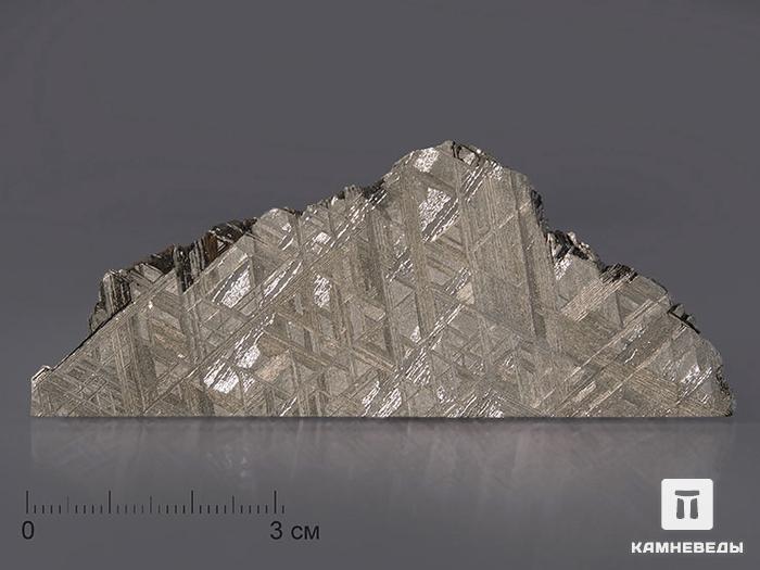 Метеорит Muonionalusta, пластина 8,5х3,4х0,2 см, 10-185/8, фото 1