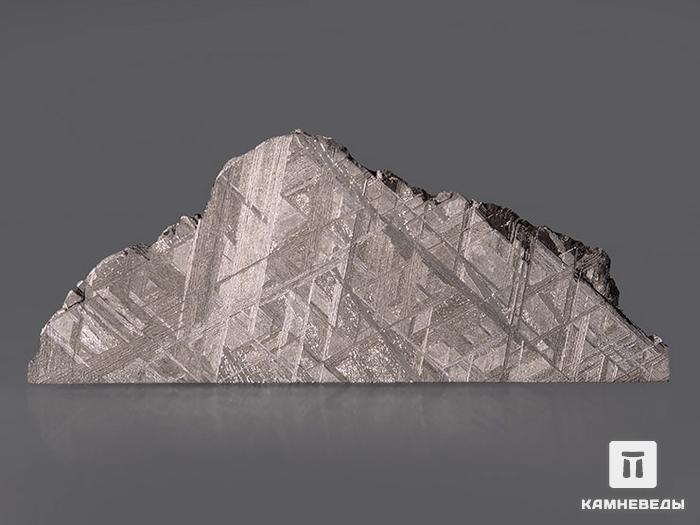 Метеорит Muonionalusta, пластина 8,5х3,4х0,2 см, 10-185/8, фото 2