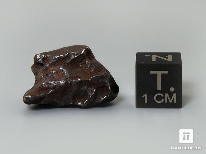 Метеорит Сихотэ-Алинь, индивидуал 2-3 см (10-11 г), 10-17/12, фото 3