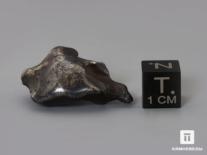 Метеорит Сихотэ-Алинь, индивидуал 2,5-3 см (17 г), 10-17/60, фото 4