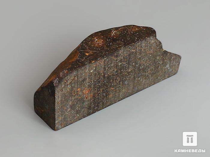 Метеорит Кольцово, полировка 4,8х2х1,3 см (29,13 г), 11-129/1, фото 2