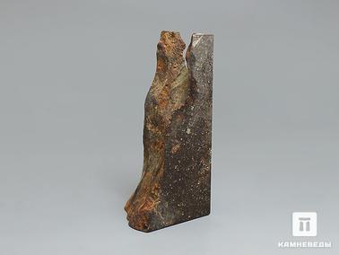Метеориты. Метеорит Кольцово, полировка 5х2,5х2 см (33,02 г)