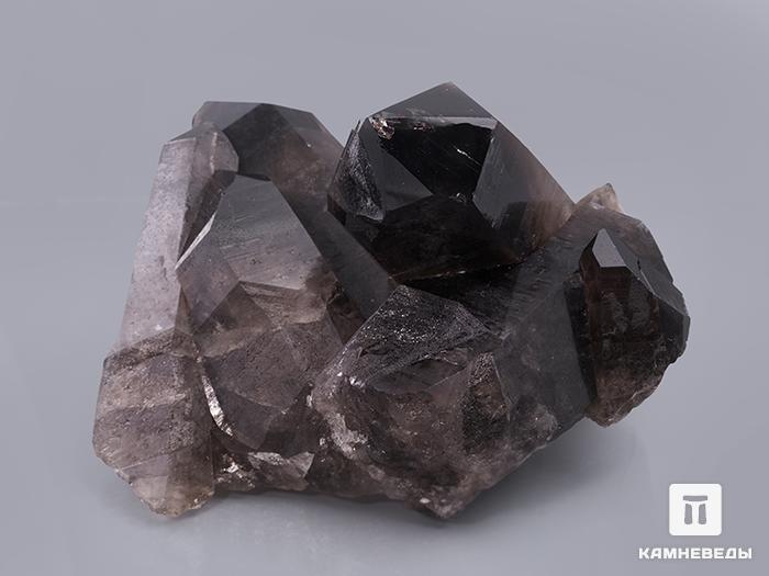 Раухтопаз (дымчатый кварц), сросток кристаллов 19,5х16,5х11 см, 10-609, фото 2